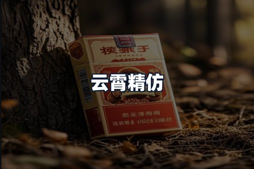 云霄精仿